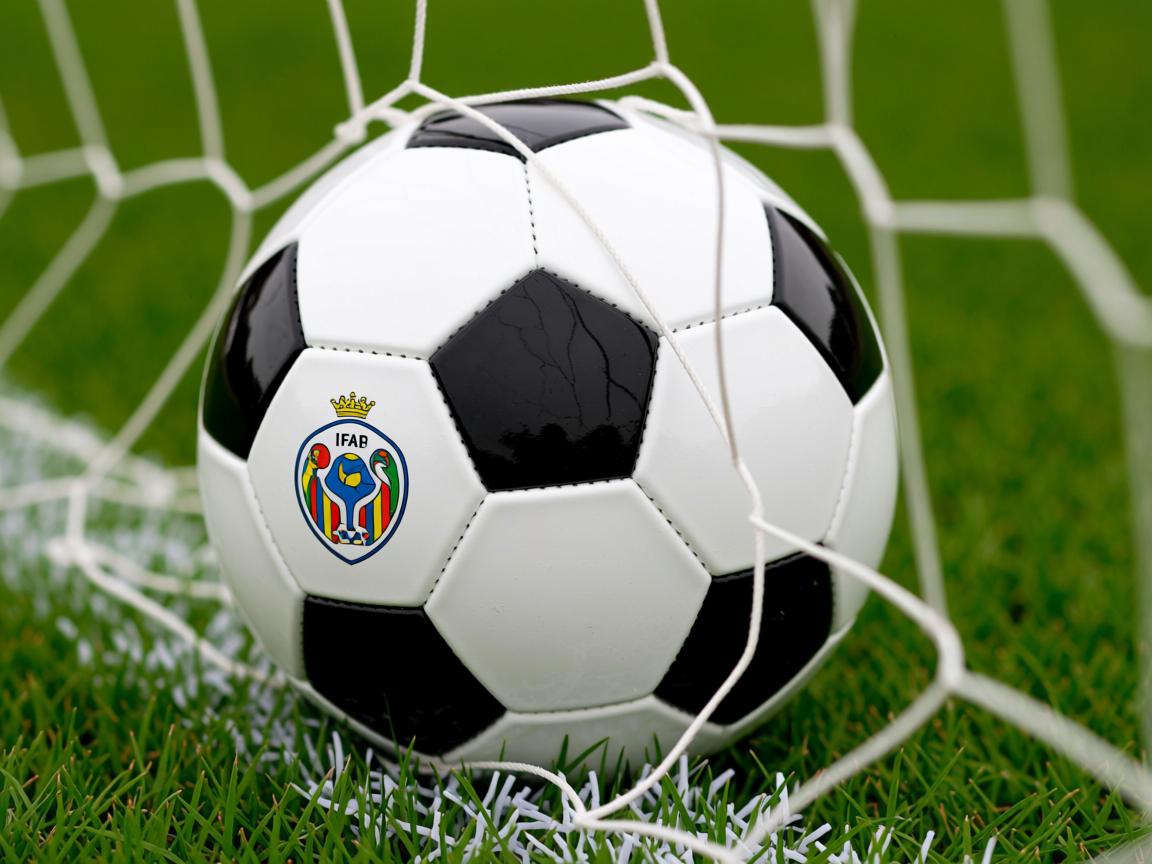 开云体育下载-CBA联赛推进裁判职业化培训机制,2021篮球裁判员培训报名 第3张