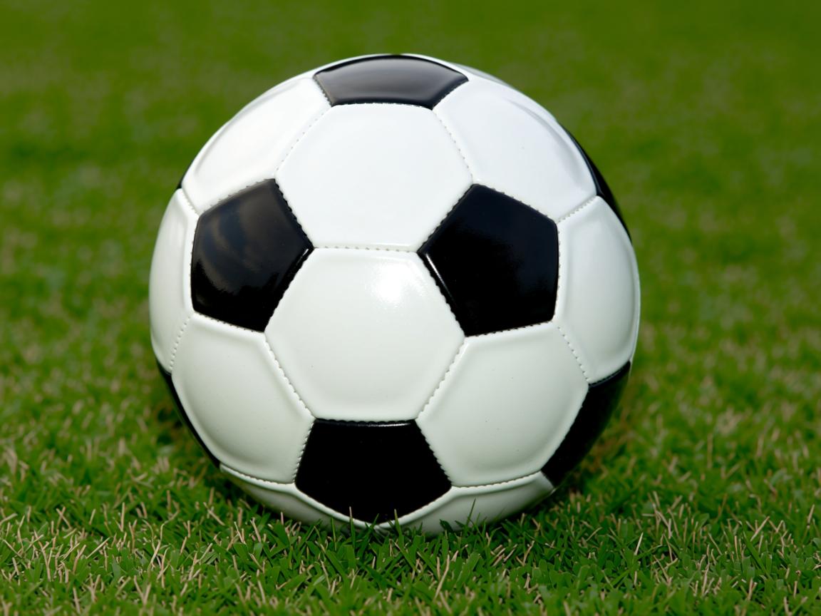 开云官方网-中国男篮加快进攻节奏 提高转换进攻能力，中国男篮篮球规则  第3张