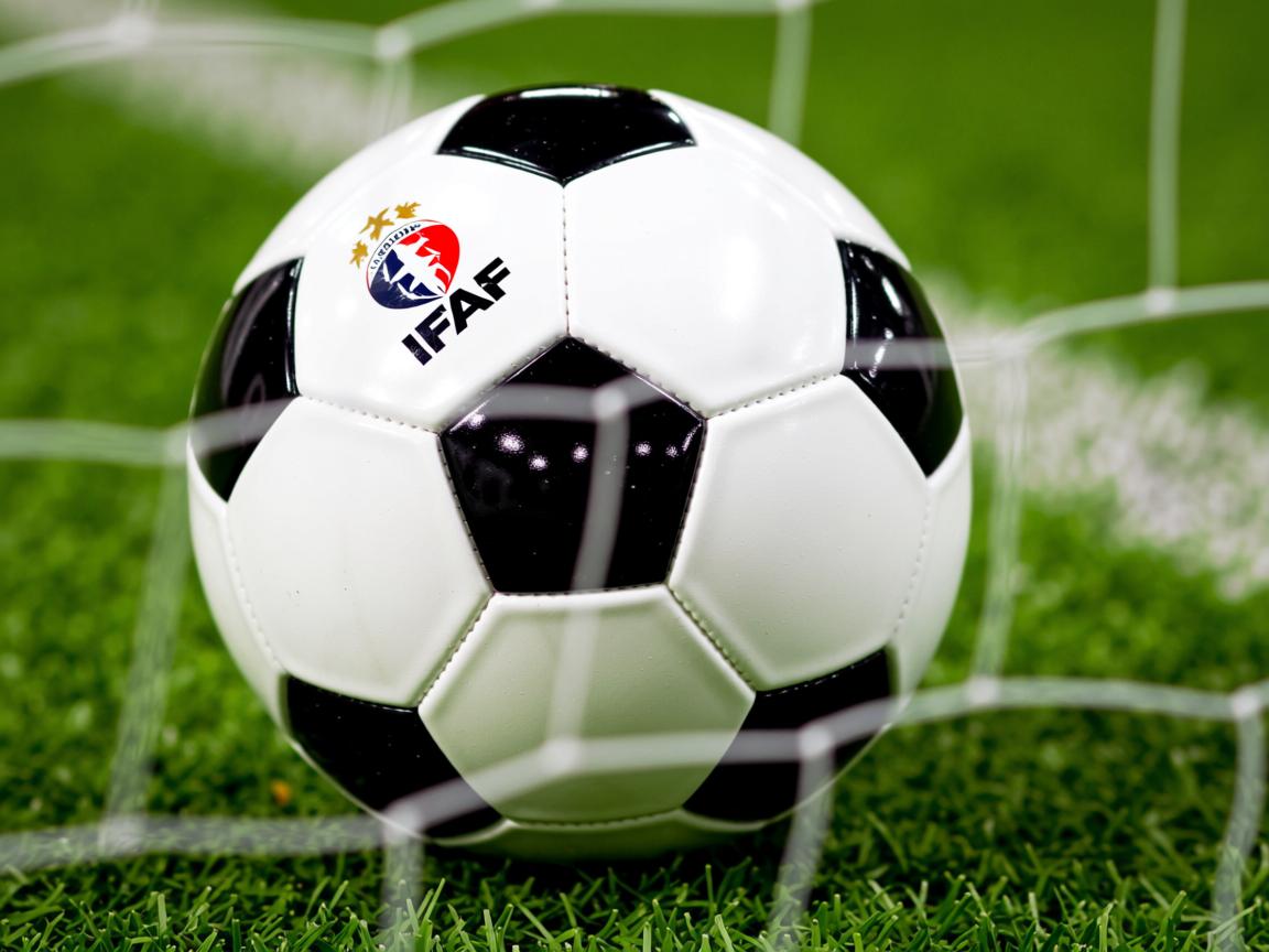 kaiyun网址-出发弹跳力提升，抢占领先先机，弹跳发力原理