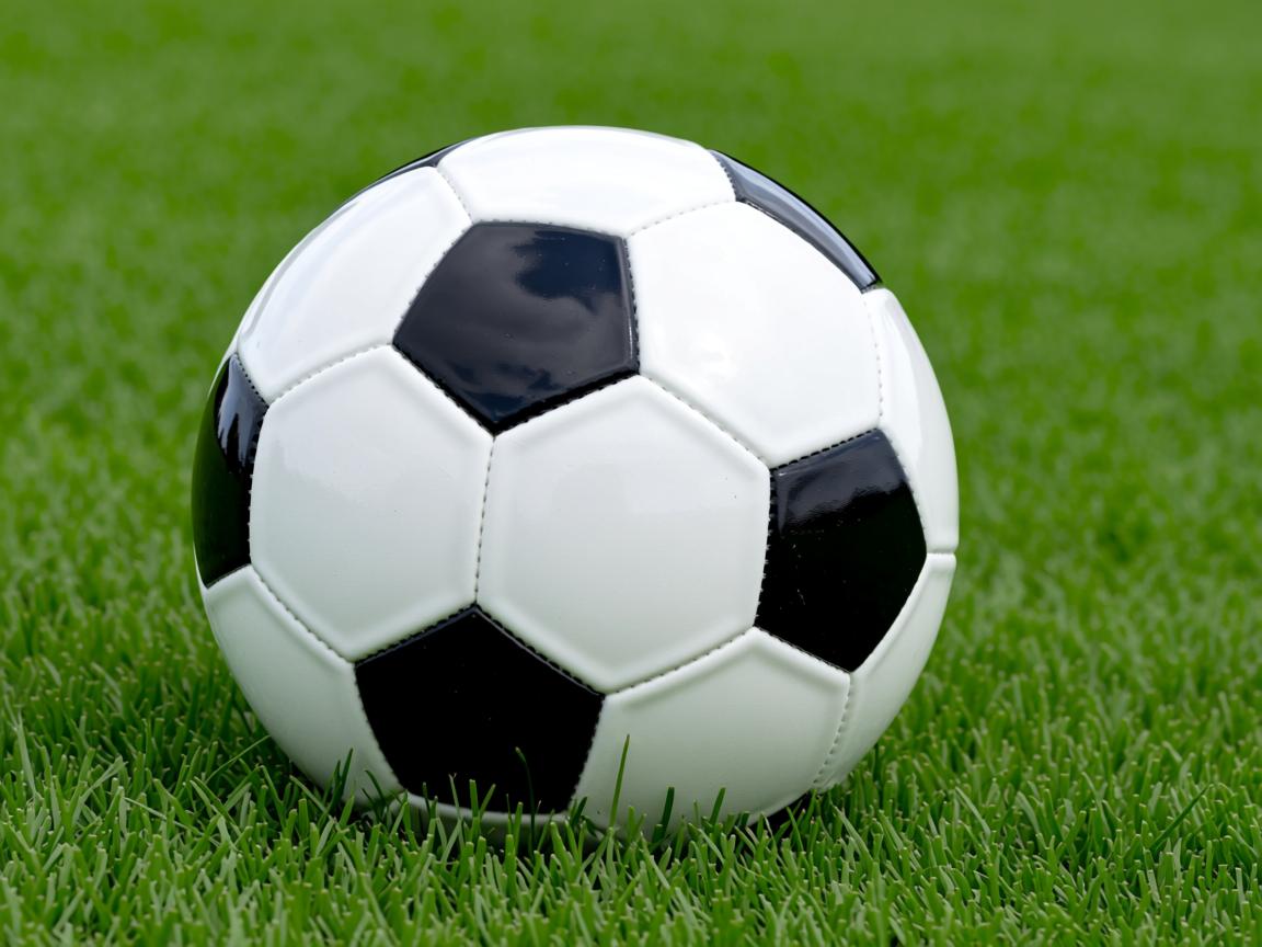 开云体育在线下载-广东队引进外援提升球队整体竞争力，广东队外援资料  第3张