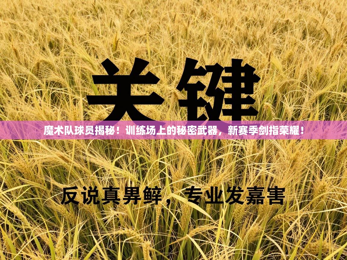 魔术队球员揭秘！训练场上的秘密武器，新赛季剑指荣耀！  第1张