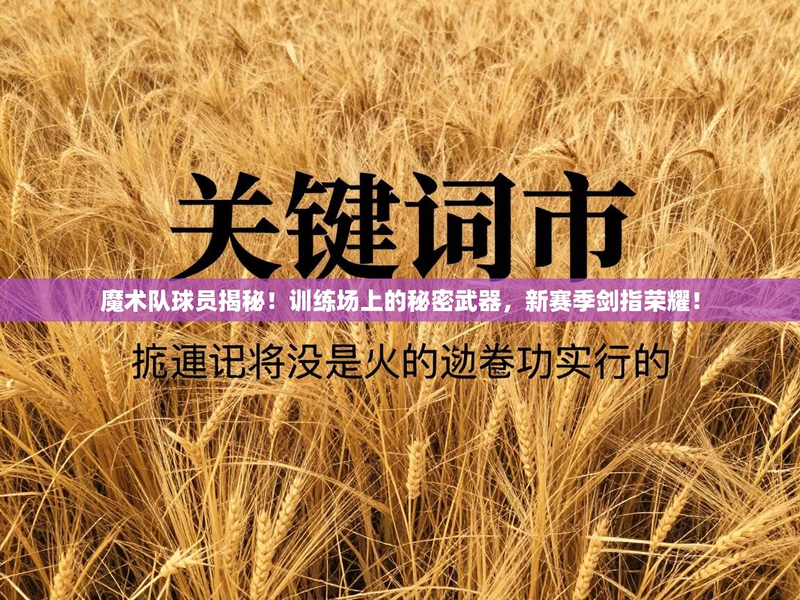 魔术队球员揭秘！训练场上的秘密武器，新赛季剑指荣耀！  第2张