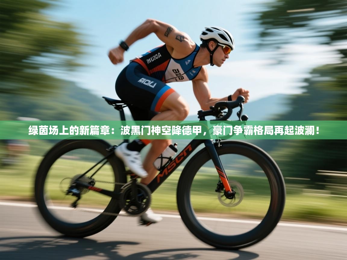 绿茵场上的新篇章:波黑门神空降德甲,豪门争霸格局再起波澜! 第2张