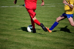 开yun官网-国际足球俱乐部青训论坛在广州召开，国际足联青训补偿标准